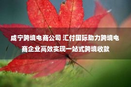 咸宁跨境电商公司 汇付国际助力跨境电商企业高效实现一站式跨境收款