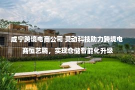 咸宁跨境电商公司 灵动科技助力跨境电商恒艺腾，实现仓储智能化升级