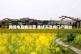 跨境电商偏运营 潍坊市政府门户网站