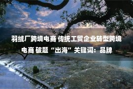 羽绒厂跨境电商 传统工贸企业转型跨境电商 破题“出海”关键词：品牌