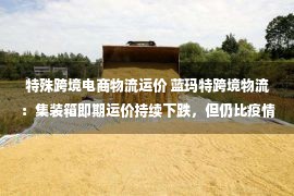 特殊跨境电商物流运价 蓝玛特跨境物流：集装箱即期运价持续下跌，但仍比疫情前高出好几倍！