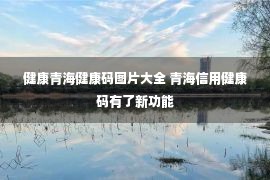 健康青海健康码图片大全 青海信用健康码有了新功能