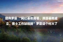 团购罗田 “网红基地揭幕、溯源基地成立、博士工作站挂牌”罗田这个村火了！