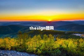 thesign团购 