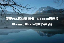 菠萝PSC区块链 波卡：Rococo已连接Plasm、Phala等8个平行链