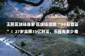 王民区块链身家 区块链造就“90后首富”！27岁坐拥35亿财富，币圈有多少奇迹？