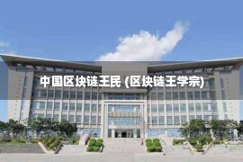 中国区块链王民 (区块链王学宗)