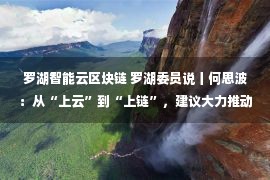 罗湖智能云区块链 罗湖委员说丨何思波：从“上云”到“上链”，建议大力推动区块链产业发展