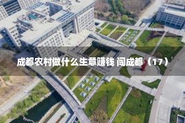 成都农村做什么生意赚钱 闯成都（17）