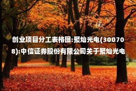 创业项目分工表格图:聚灿光电(300708):中信证券股份有限公司关于聚灿光电科技股份有限公司创业板向特定对象发行A股股票之发行保荐书