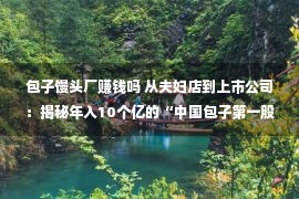 包子馒头厂赚钱吗 从夫妇店到上市公司：揭秘年入10个亿的“中国包子第一股”