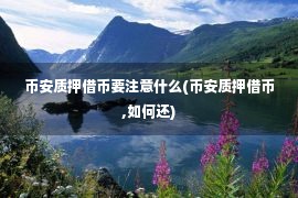 币安质押借币要注意什么(币安质押借币,如何还)