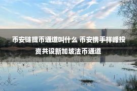 币安链提币通道叫什么 币安携手祥峰投资共设新加坡法币通道