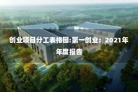 创业项目分工表格图:第一创业：2021年年度报告