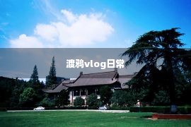 渡鸦vlog日常