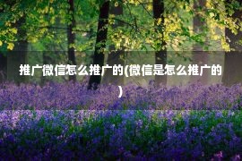 推广微信怎么推广的(微信是怎么推广的)