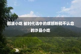 那波小吃 被时代选中的螺蛳粉和不认命的沙县小吃