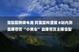 雪梨聊跨境电商 阿里架构调整 B站内测直播带货“小黄车”直播带货主播雪梨、林珊珊微博账号被封..丨一周零售电商大事