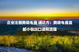 企业注册跨境电商 通达方：跨境电商直邮小包出口退税流程