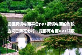 调研跨境电商平台ppt 跨境电商的财税合规已势在必行！尾部有电商PPT领取