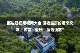 擦边短视频视频大全 深夜霸屏的婚恋交友“谎言”爱玩“擦边诱惑”