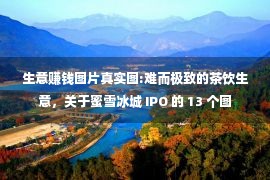 生意赚钱图片真实图:难而极致的茶饮生意，关于蜜雪冰城 IPO 的 13 个图