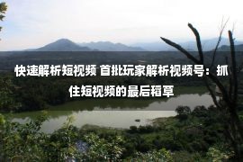 快速解析短视频 首批玩家解析视频号：抓住短视频的最后稻草