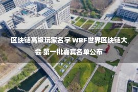 区块链高级玩家名字 WBF世界区块链大会 第一批嘉宾名单公布