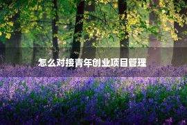 怎么对接青年创业项目管理 