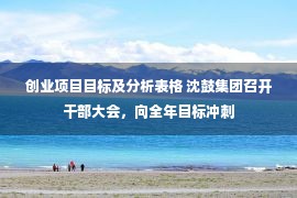 创业项目目标及分析表格 沈鼓集团召开干部大会，向全年目标冲刺