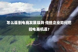 怎么遏制电商发展趋势 传统企业如何把控电商机遇？