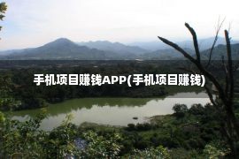 手机项目赚钱APP(手机项目赚钱)