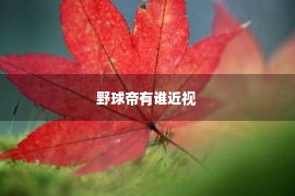 野球帝有谁近视 