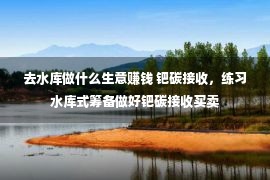 去水库做什么生意赚钱 钯碳接收，练习水库式筹备做好钯碳接收买卖