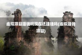 虚拟项目赚钱吗现在还赚钱吗(虚拟赚钱项目)