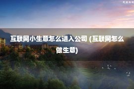 互联网小生意怎么进入公司 (互联网怎么做生意)