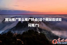 网站推广怎么推广好点(这个网站应该如何推广)