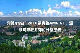 奔驰gt推广 2018款奔驰AMG GT，温顺与癫狂并存的分裂患者