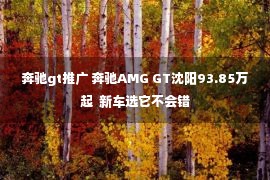 奔驰gt推广 奔驰AMG GT沈阳93.85万起  新车选它不会错