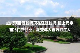 虚拟项目赚钱吗现在还赚钱吗:撞上元宇宙冷门新职业，我变年入百万打工人