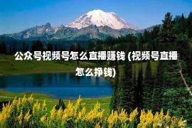 公众号视频号怎么直播赚钱 (视频号直播怎么挣钱)