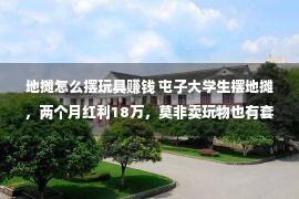 地摊怎么摆玩具赚钱 屯子大学生摆地摊，两个月红利18万，莫非卖玩物也有套路没有成？