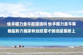 快手磁力金牛能赚钱吗 快手磁力金牛筹备版助力商家粉丝经营才略选拔重磅上线