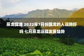 辰龙健康 2022年7月份属龙的人运势好吗 七月辰龙运程发展趋势