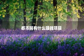 都市圈有什么赚钱项目 