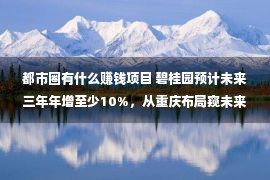 都市圈有什么赚钱项目 碧桂园预计未来三年年增至少10%，从重庆布局窥未来增长信心