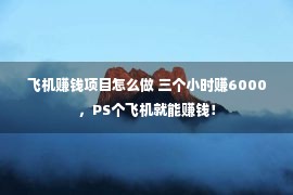 飞机赚钱项目怎么做 三个小时赚6000，PS个飞机就能赚钱！