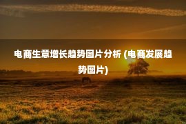 电商生意增长趋势图片分析 (电商发展趋势图片)