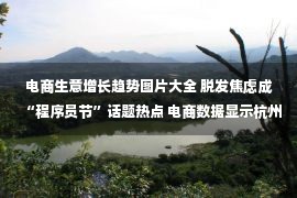 电商生意增长趋势图片大全 脱发焦虑成“程序员节”话题热点 电商数据显示杭州 深圳防脱产品销量激增53% 25%