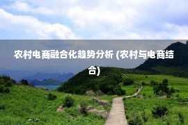 农村电商融合化趋势分析 (农村与电商结合)